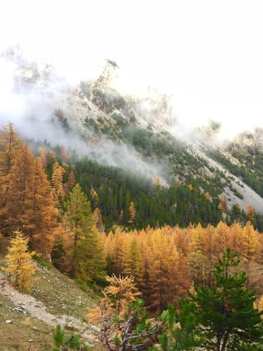 Апартаменты Relax In Montagna Бардонеккия Экстерьер фото